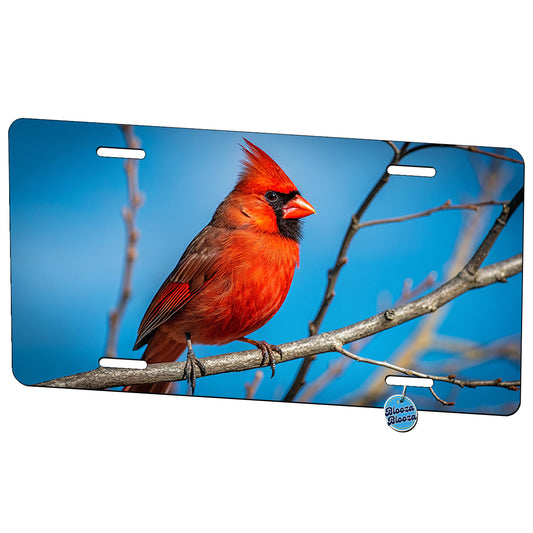 Cardinal Bird Face Blue Background Metal Vanity Novelty Tag License Plate for Trucks Cars SUVs