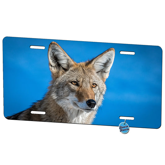 Coyote Face Blue Background Metal Vanity Novelty Tag License Plate for Trucks Cars SUVs