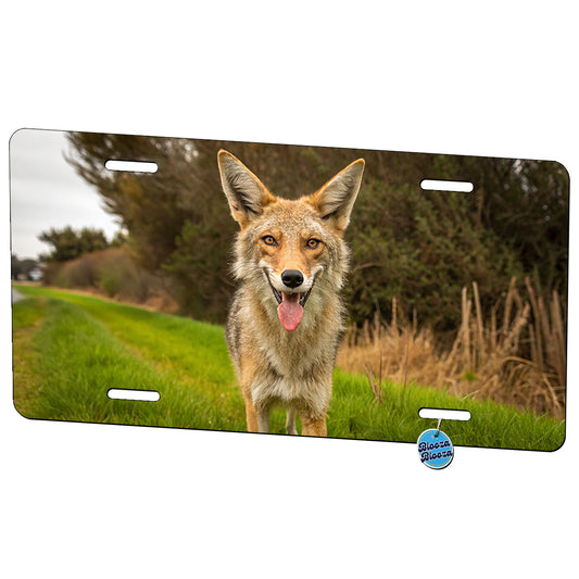 Funny Coyote With Tongue Out Metal Vanity Novelty Tag License Plate for Trucks Cars SUVs