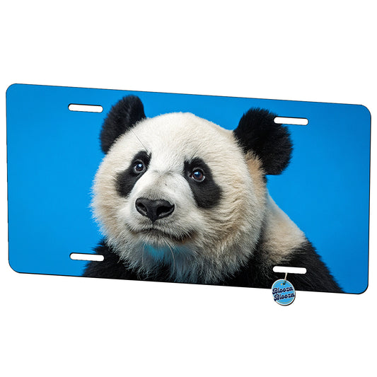 Giant Panda Face Blue Background Metal Vanity Novelty Tag License Plate for Trucks Cars SUVs