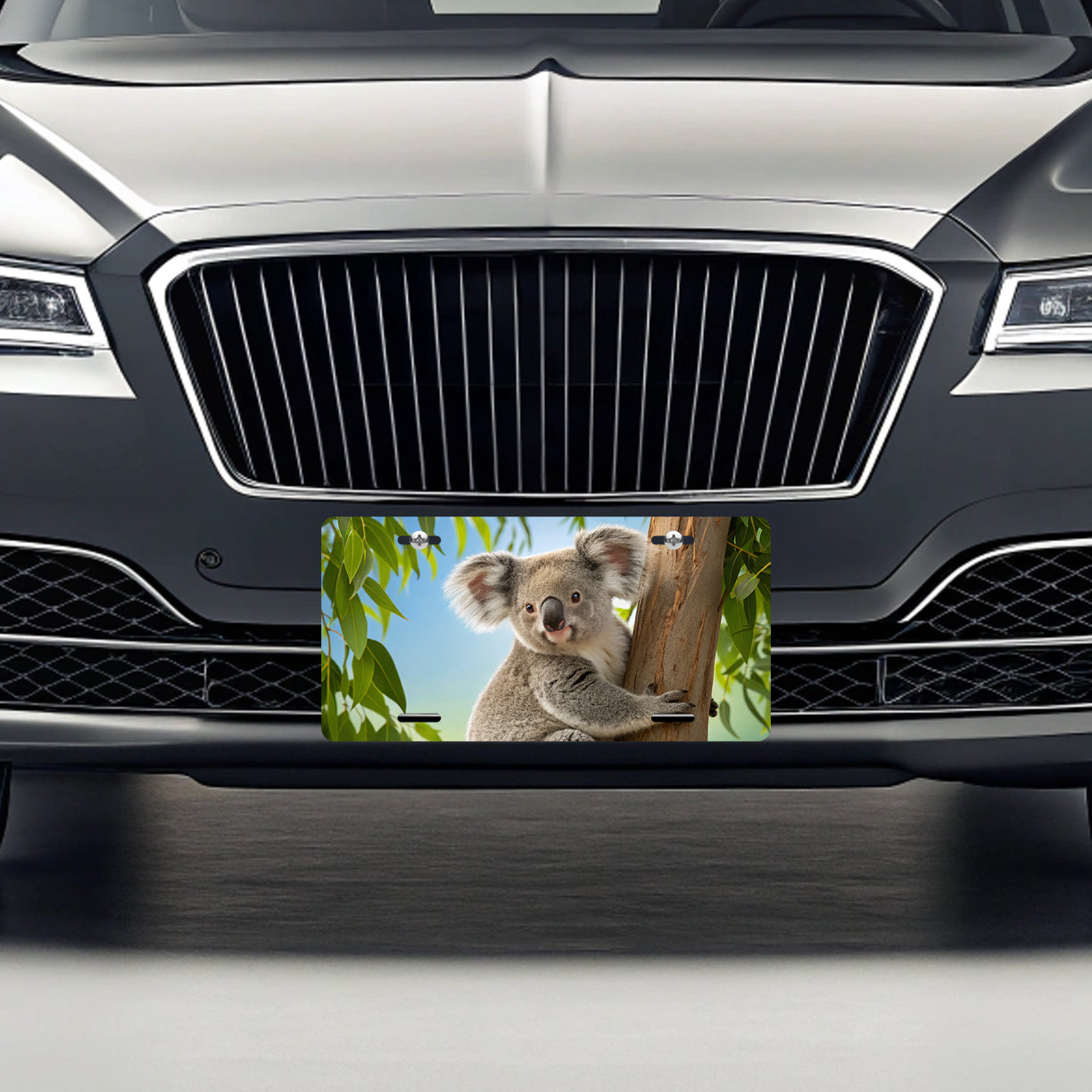 Koala Marsupial Climbing Tree Australia Metal Vanity Novelty Tag License Plate for Trucks Cars SUVs