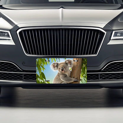 Koala Marsupial Climbing Tree Australia Metal Vanity Novelty Tag License Plate for Trucks Cars SUVs