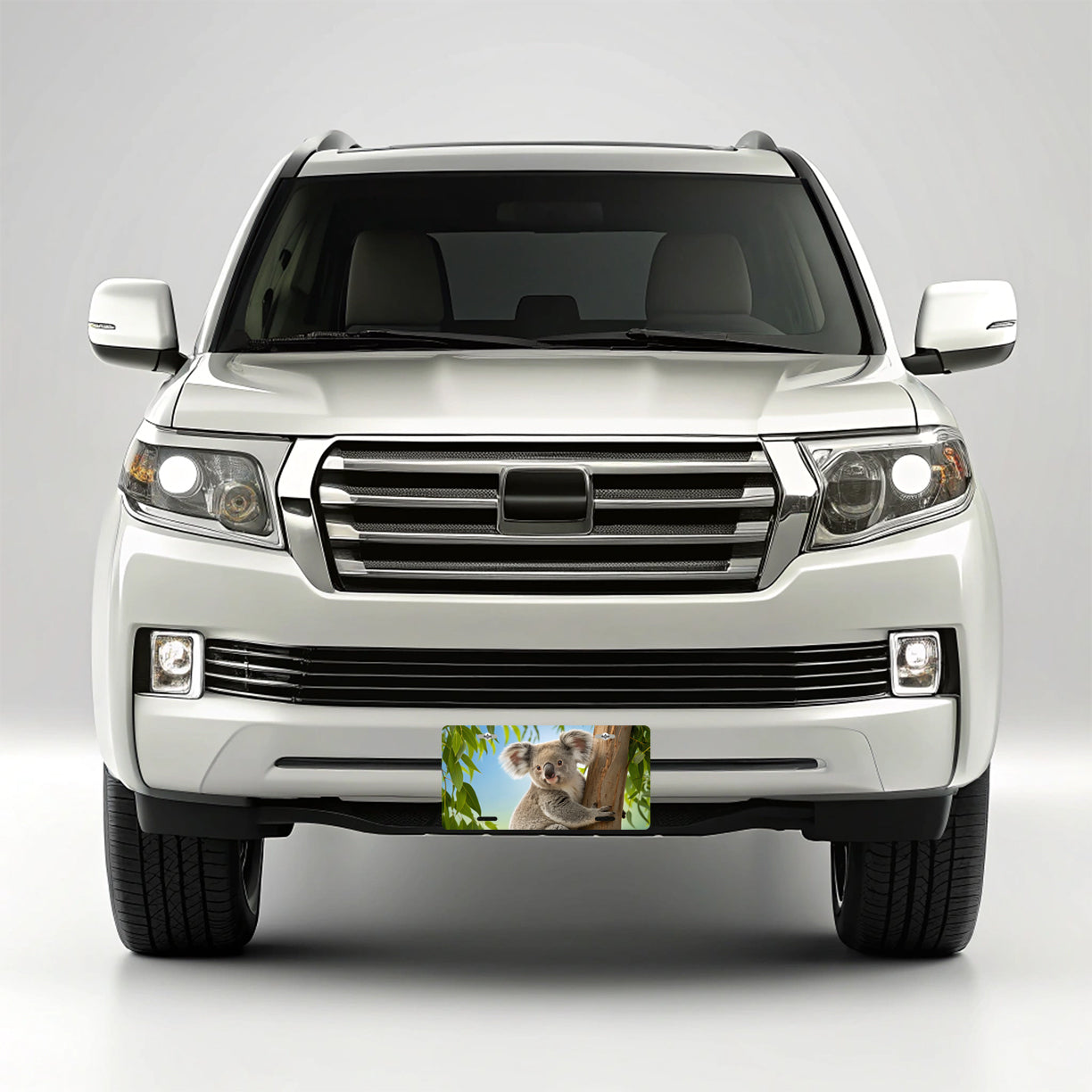 Koala Marsupial Climbing Tree Australia Metal Vanity Novelty Tag License Plate for Trucks Cars SUVs