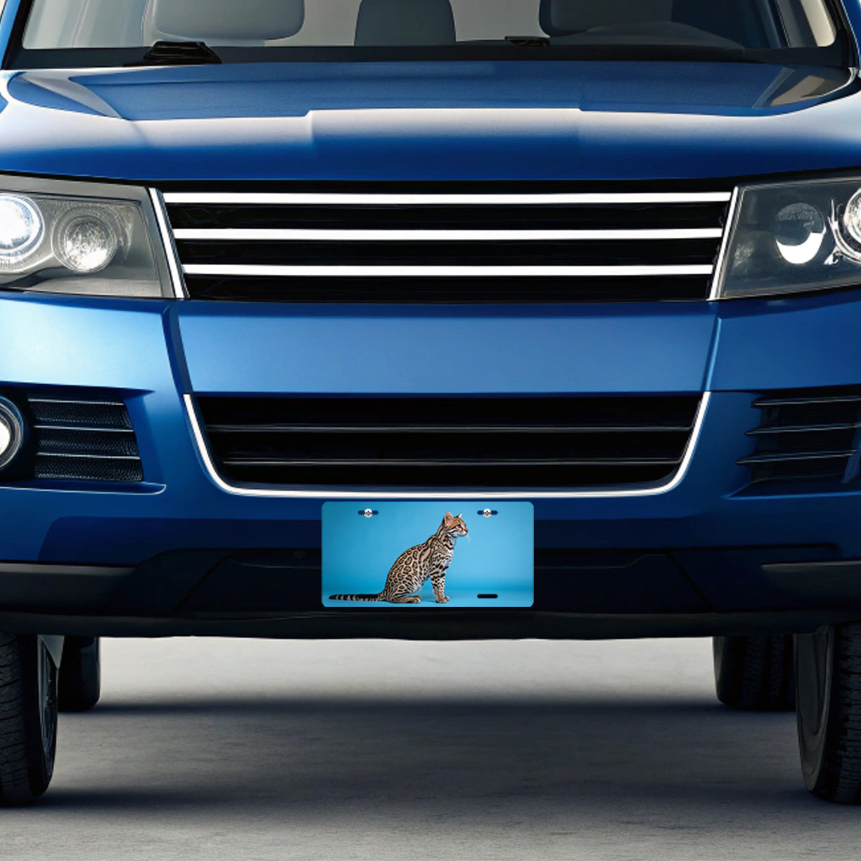 Ocelot Blue Background Metal Vanity Novelty Tag License Plate for Trucks Cars SUVs