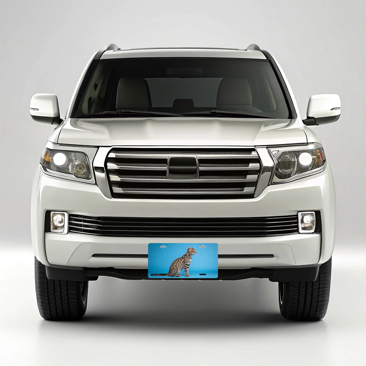Ocelot Blue Background Metal Vanity Novelty Tag License Plate for Trucks Cars SUVs