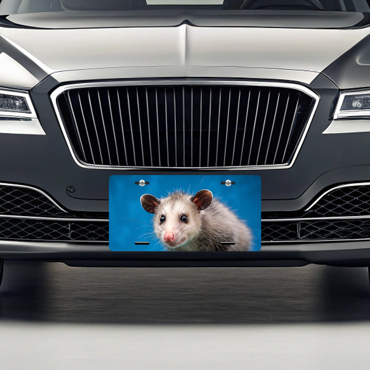 Opossum Face Blue Background Metal Vanity Novelty Tag License Plate for Trucks Cars SUVs