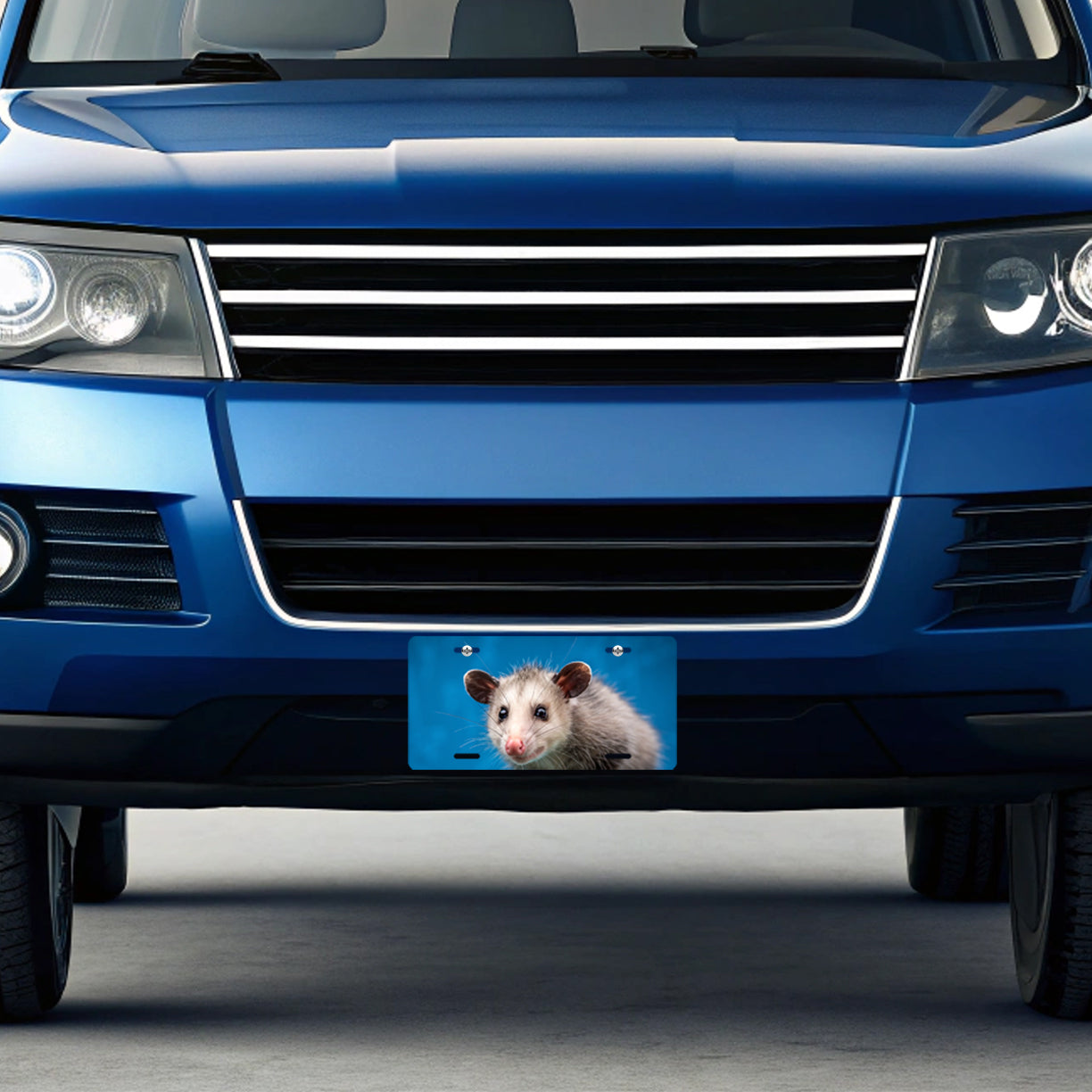 Opossum Face Blue Background Metal Vanity Novelty Tag License Plate for Trucks Cars SUVs