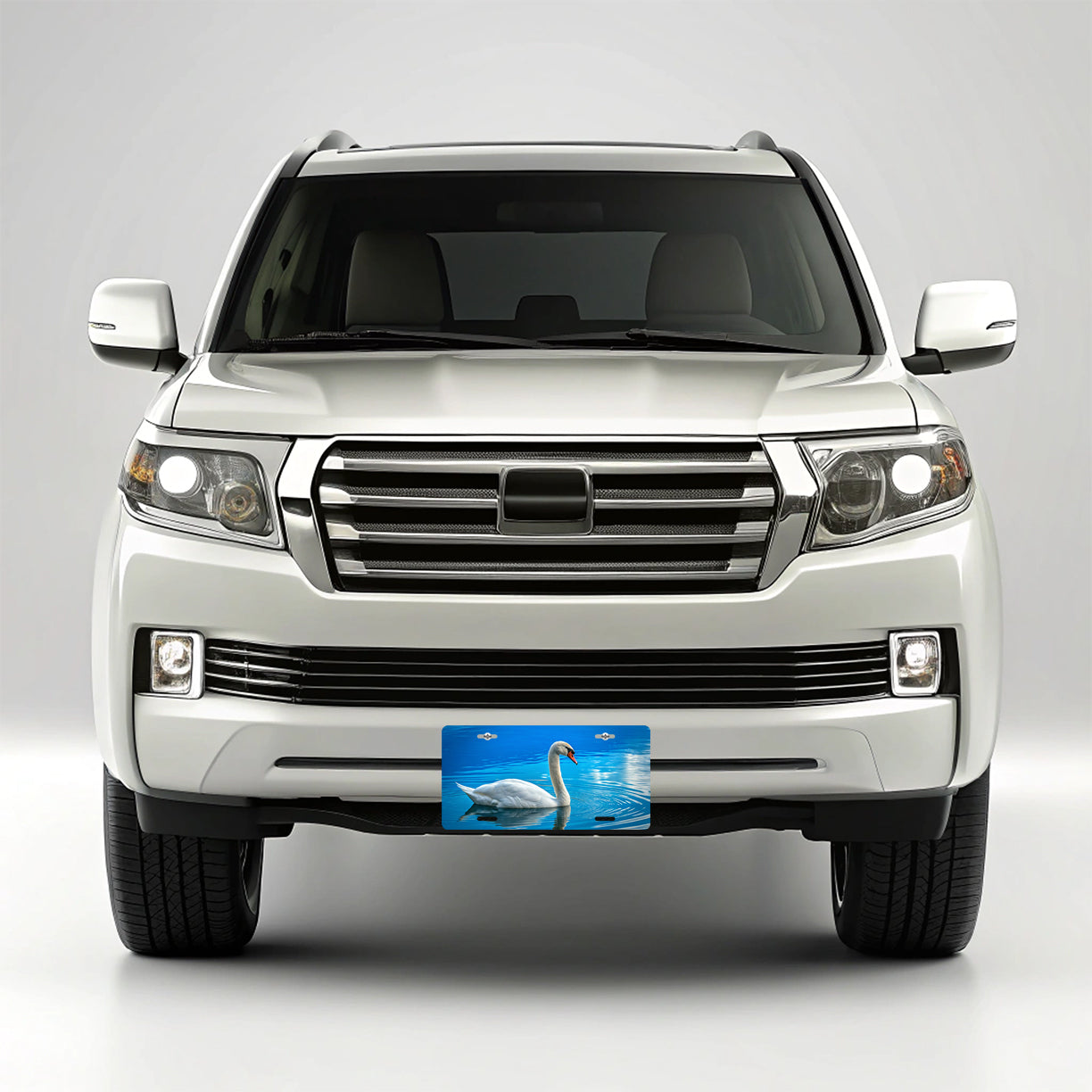 Swan Blue Background Metal Vanity Novelty Tag License Plate for Trucks Cars SUVs