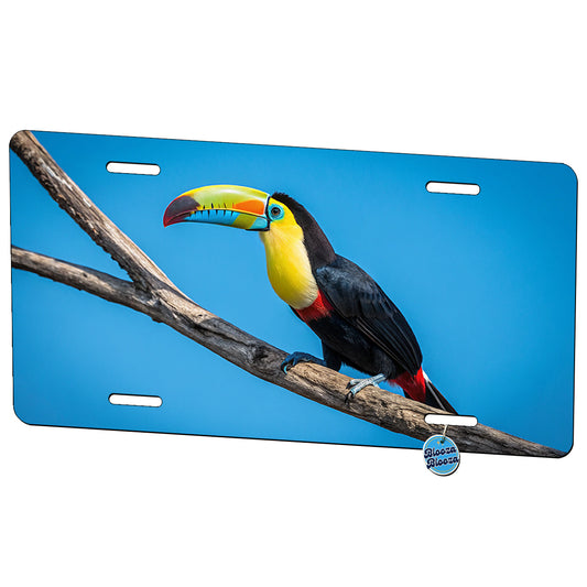Toucan Blue Background Metal Vanity Novelty Tag License Plate for Trucks Cars SUVs