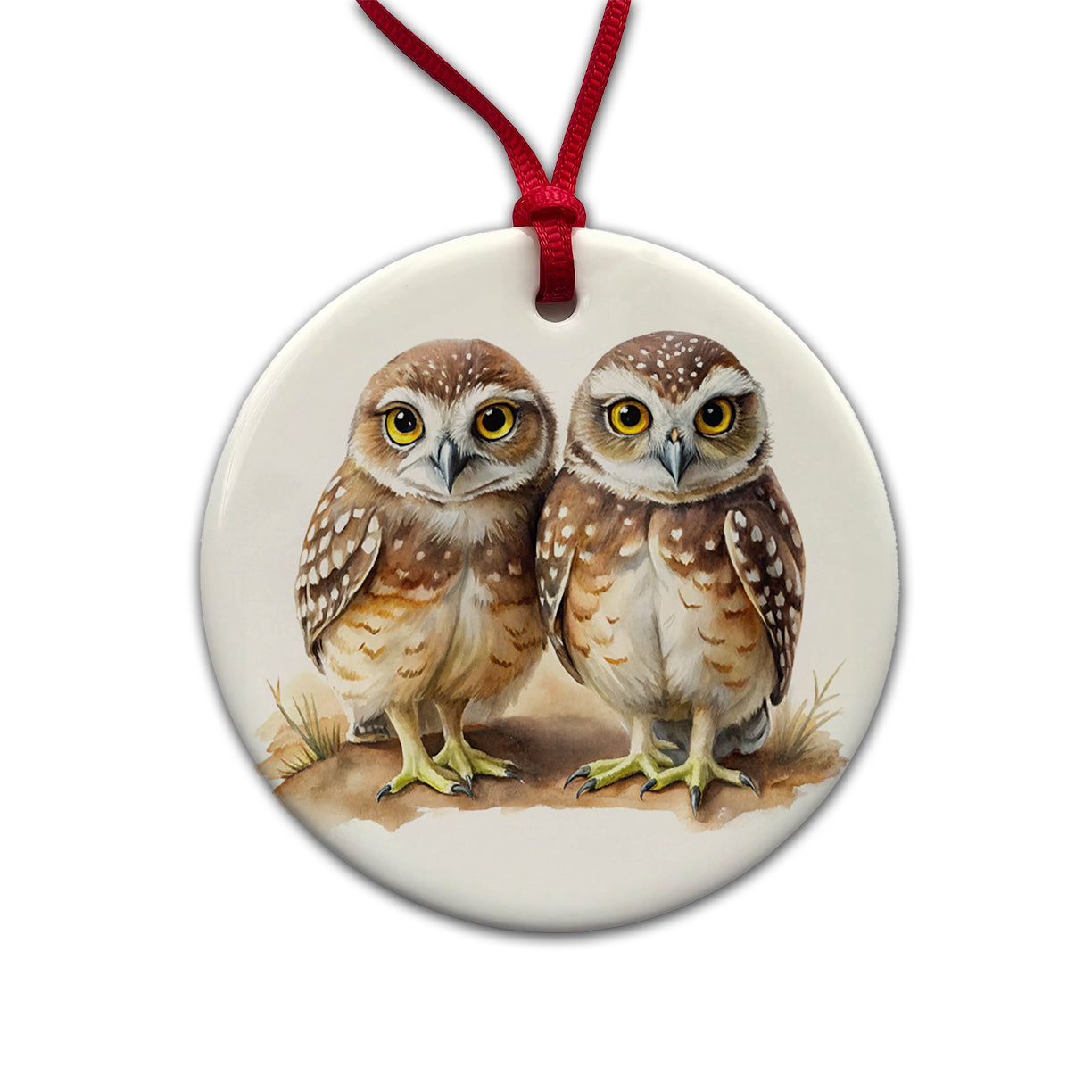 Pair Of Burrowing Owls Bird Watercolor Round Ceramic Holiday Christmas Tree Ornament