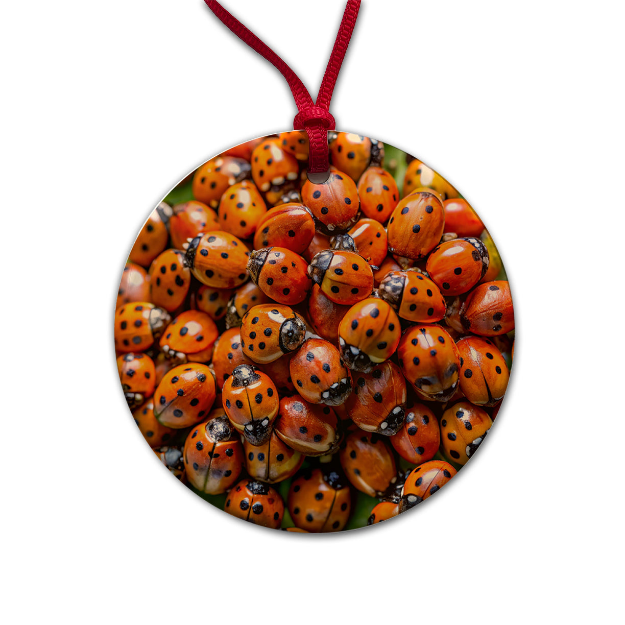 Close-Up Of Ladybugs Covering Leaf Round Ceramic Holiday Christmas Tree Ornament