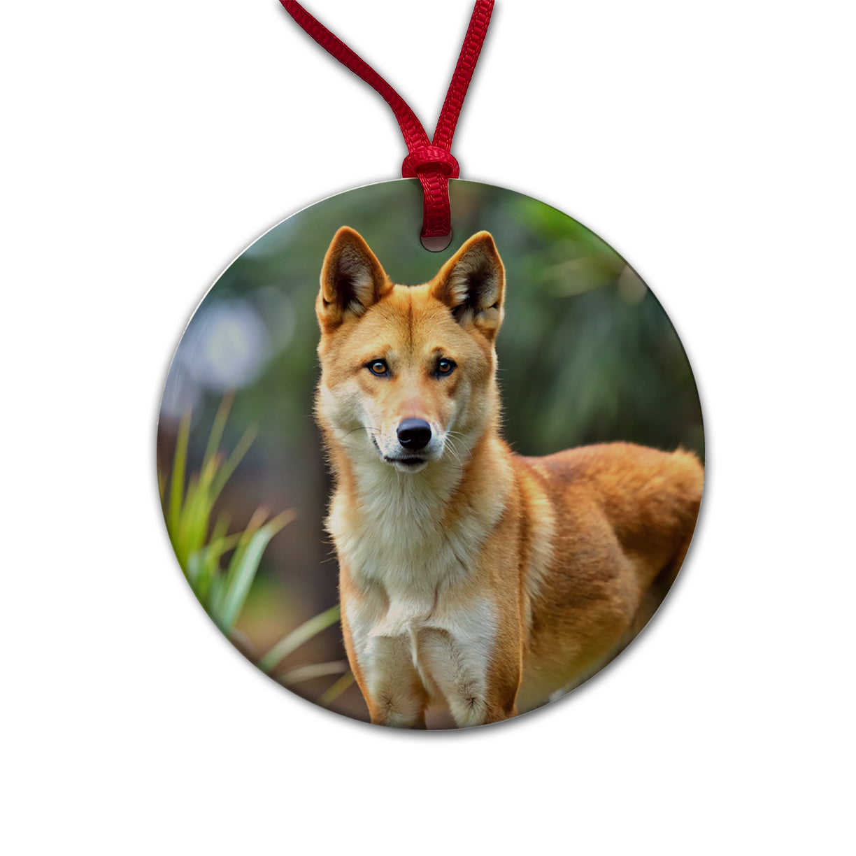 Australian Dingo Round Ceramic Holiday Christmas Tree Ornament
