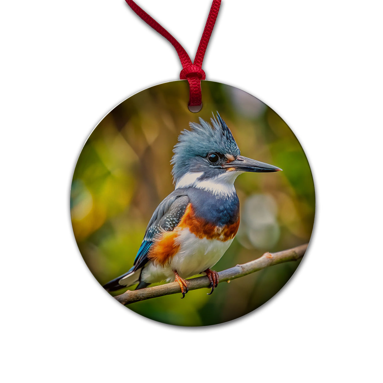 Belted Kingfisher Backyard Bird Round Ceramic Holiday Christmas Tree Ornament