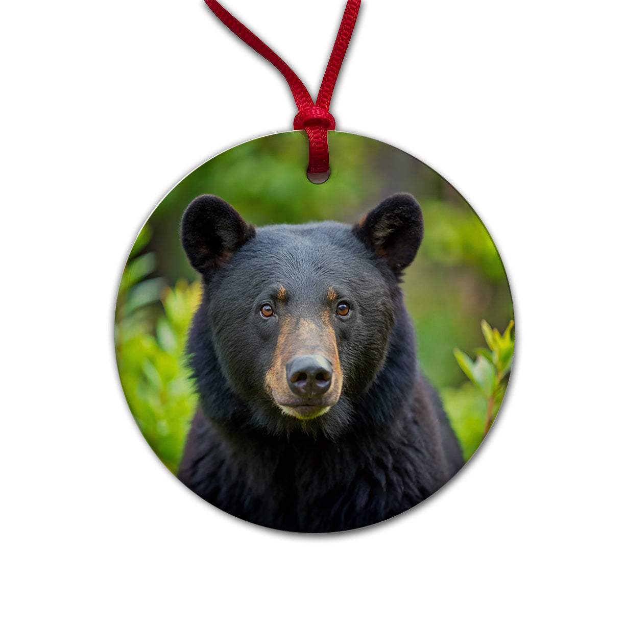 Black Bear Round Ceramic Holiday Christmas Tree Ornament