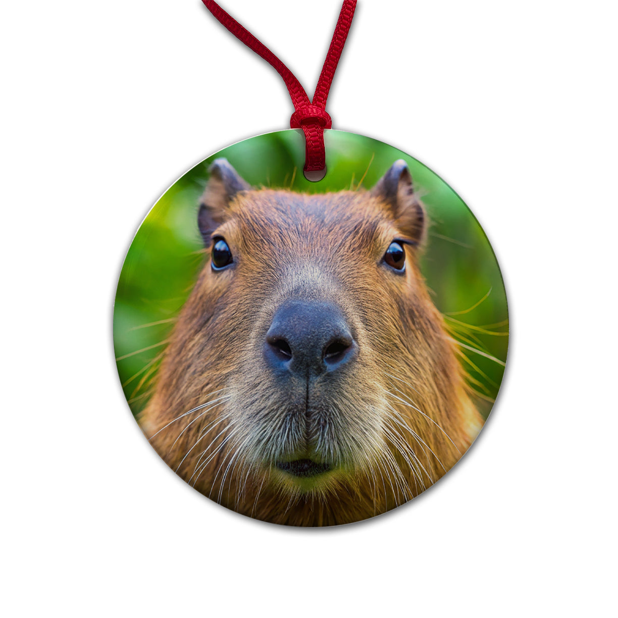 Capybara Face Round Ceramic Holiday Christmas Tree Ornament