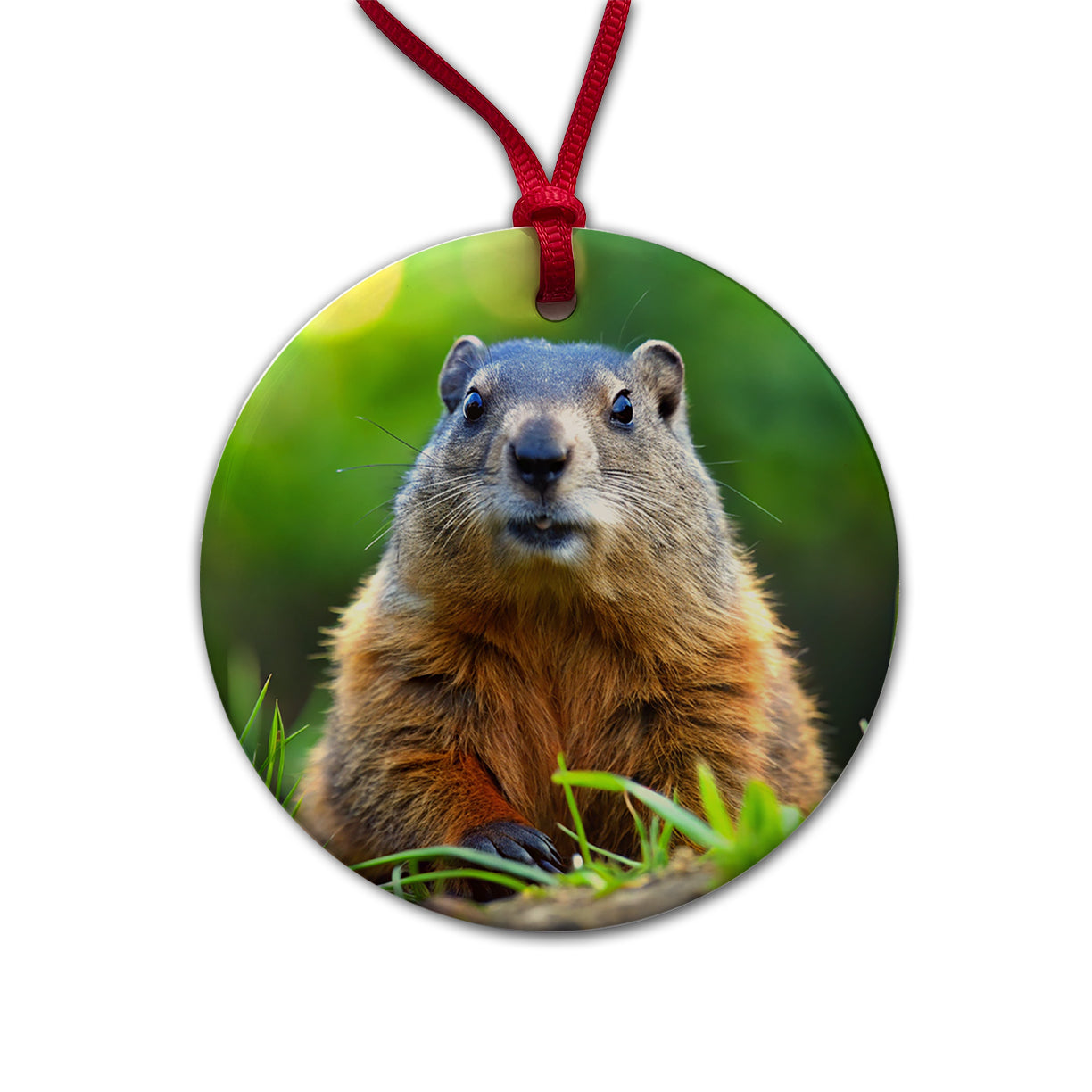 Groundhog Round Ceramic Holiday Christmas Tree Ornament