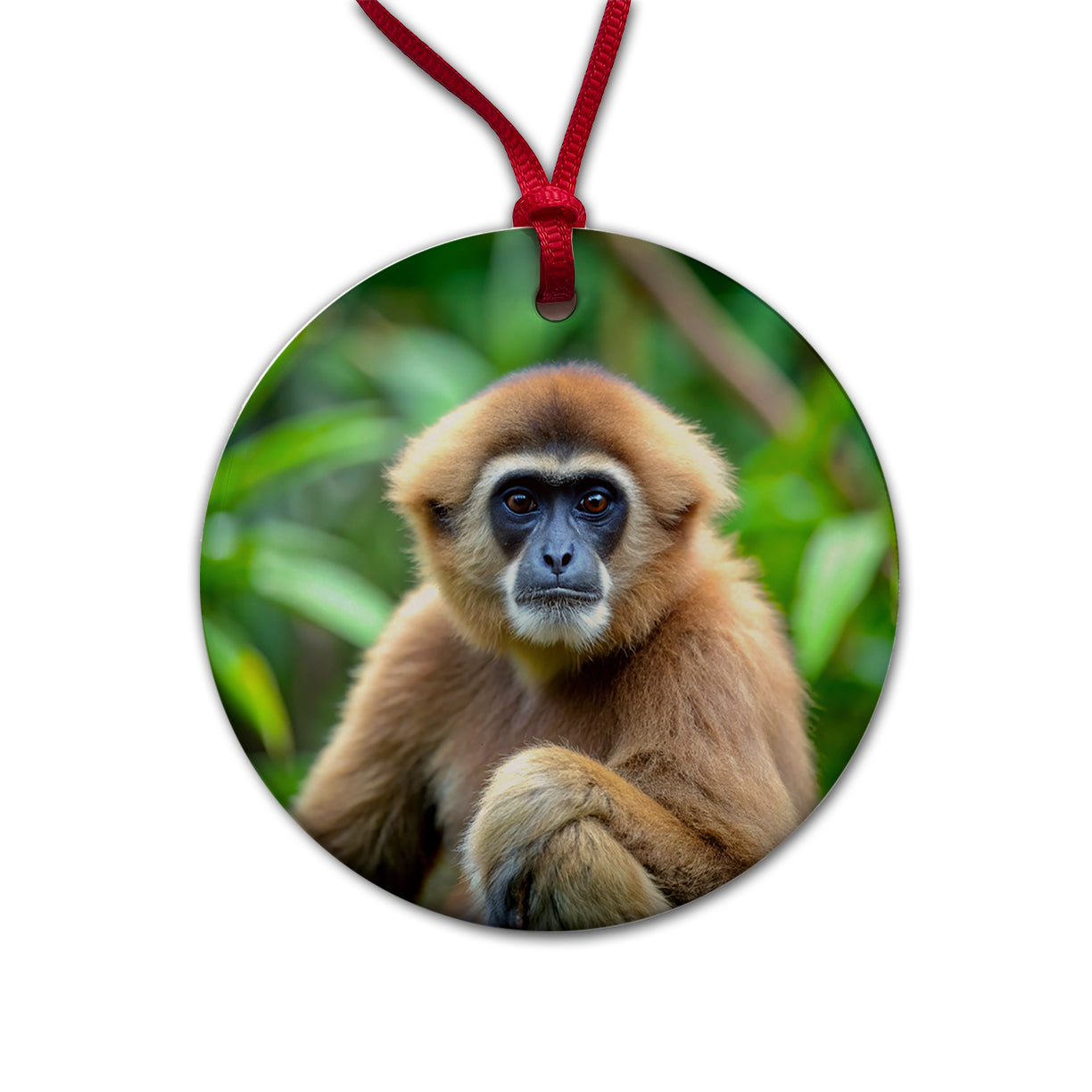 Muller's Gibbon Monkey Round Ceramic Holiday Christmas Tree Ornament