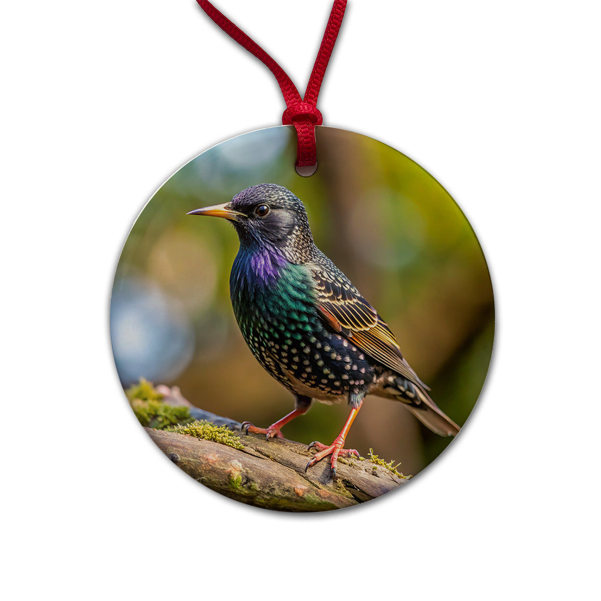 Starling Backyard Bird Round Ceramic Holiday Christmas Tree Ornament