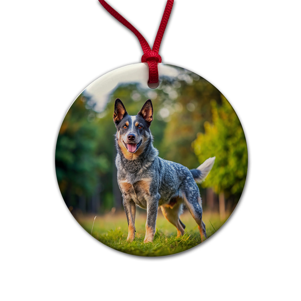 Australian Cattle Dog Photo Round Ceramic Holiday Christmas Tree Ornament
