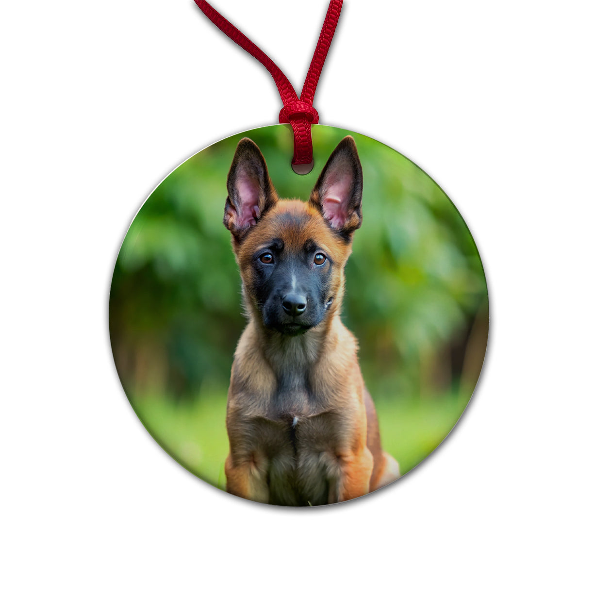 Belgian Malinois Dog Puppy Photo Round Ceramic Holiday Christmas Tree Ornament
