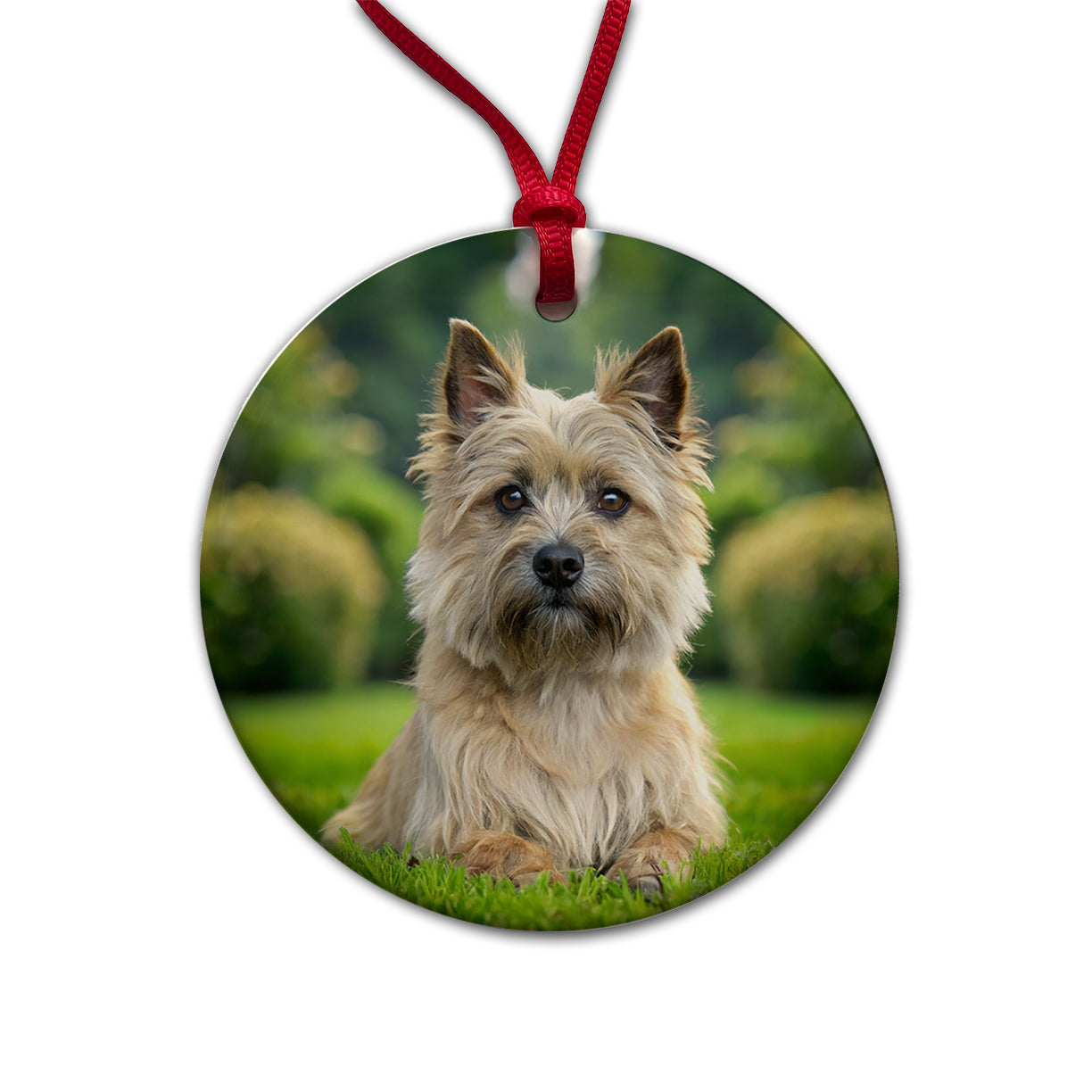 Cairn Terrier Dog Photo Round Ceramic Holiday Christmas Tree Ornament