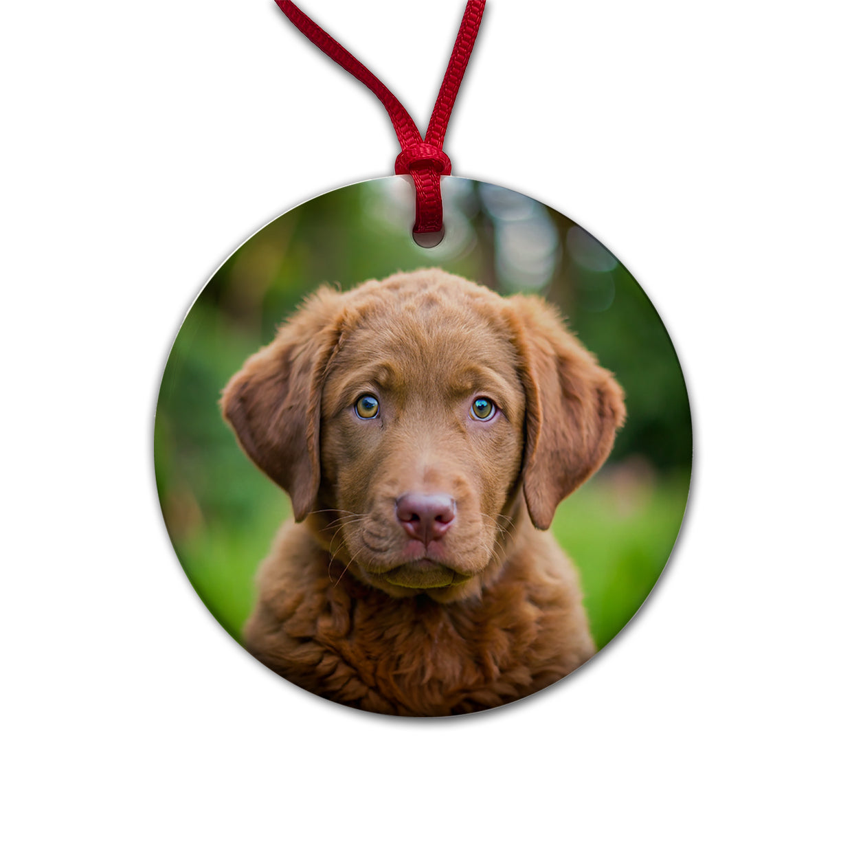 Chesapeake Bay Retriever Dog Puppy Photo Round Ceramic Holiday Christmas Tree Ornament