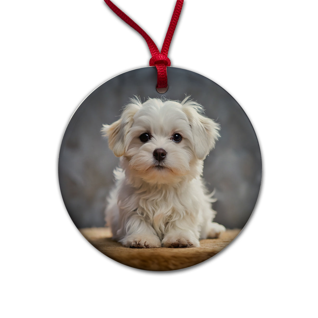 Maltese Dog Puppy Photo Round Ceramic Holiday Christmas Tree Ornament