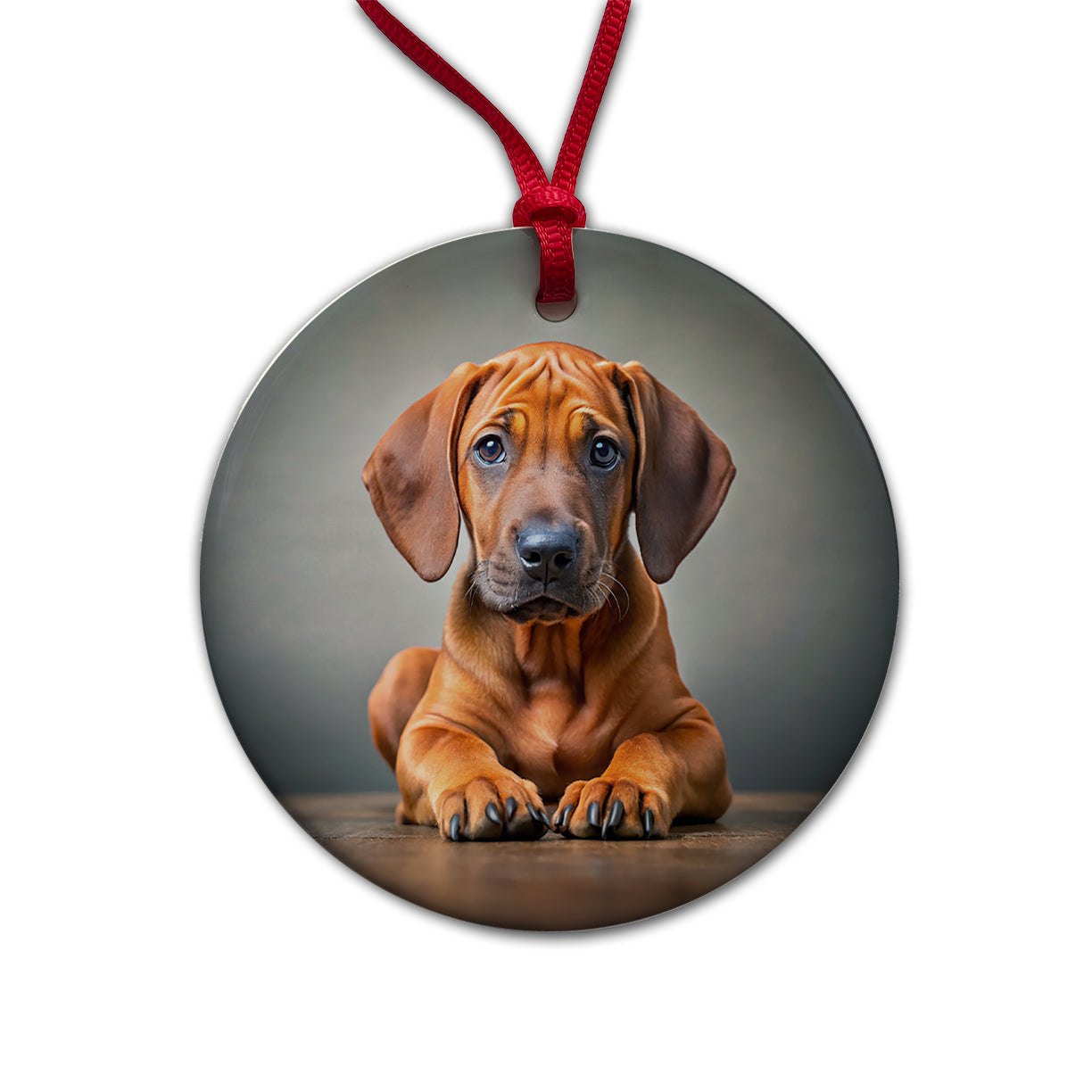 Rhodesian Ridgeback Dog Puppy Photo Round Ceramic Holiday Christmas Tree Ornament