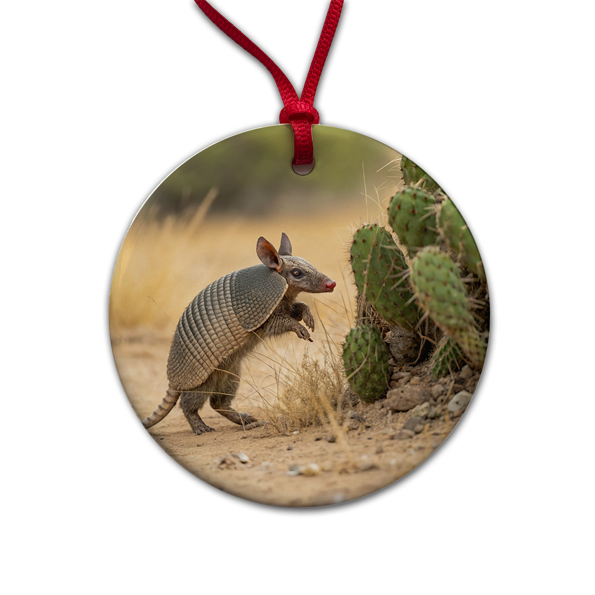 Armadillo In Desert Round Ceramic Holiday Christmas Tree Ornament