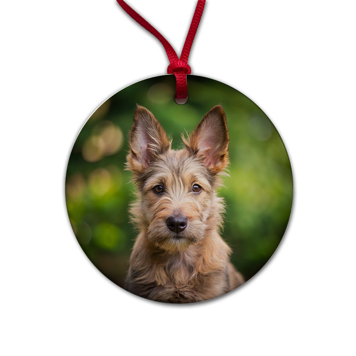 Berger Picard Dog Puppy Photo Round Ceramic Holiday Christmas Tree Ornament