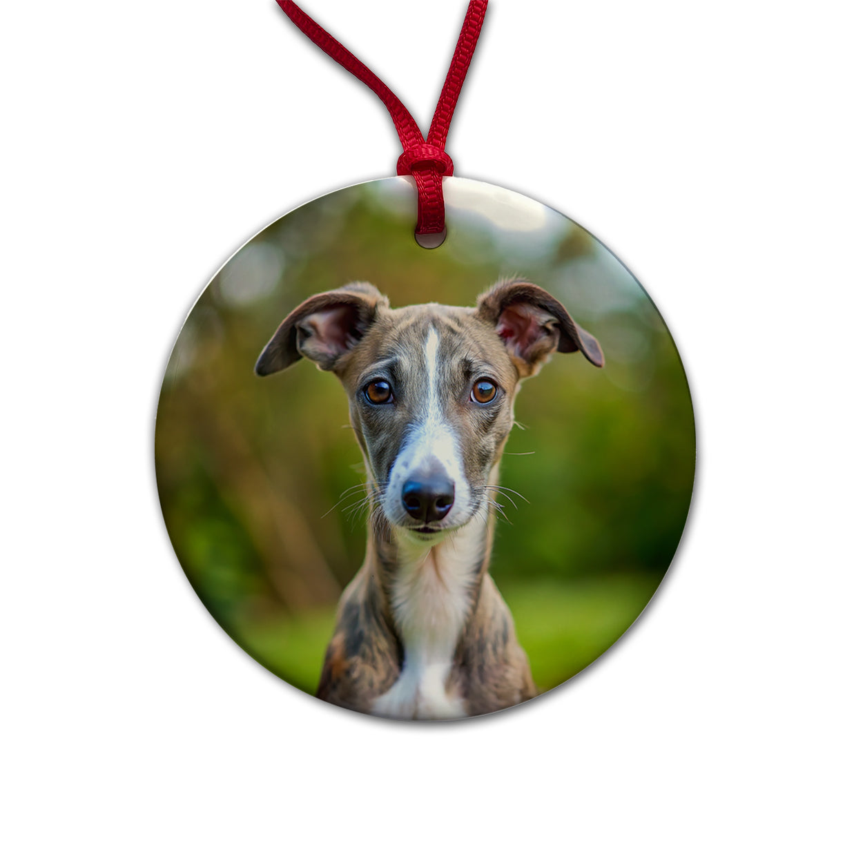 Greyhound Dog Puppy Photo Round Ceramic Holiday Christmas Tree Ornament
