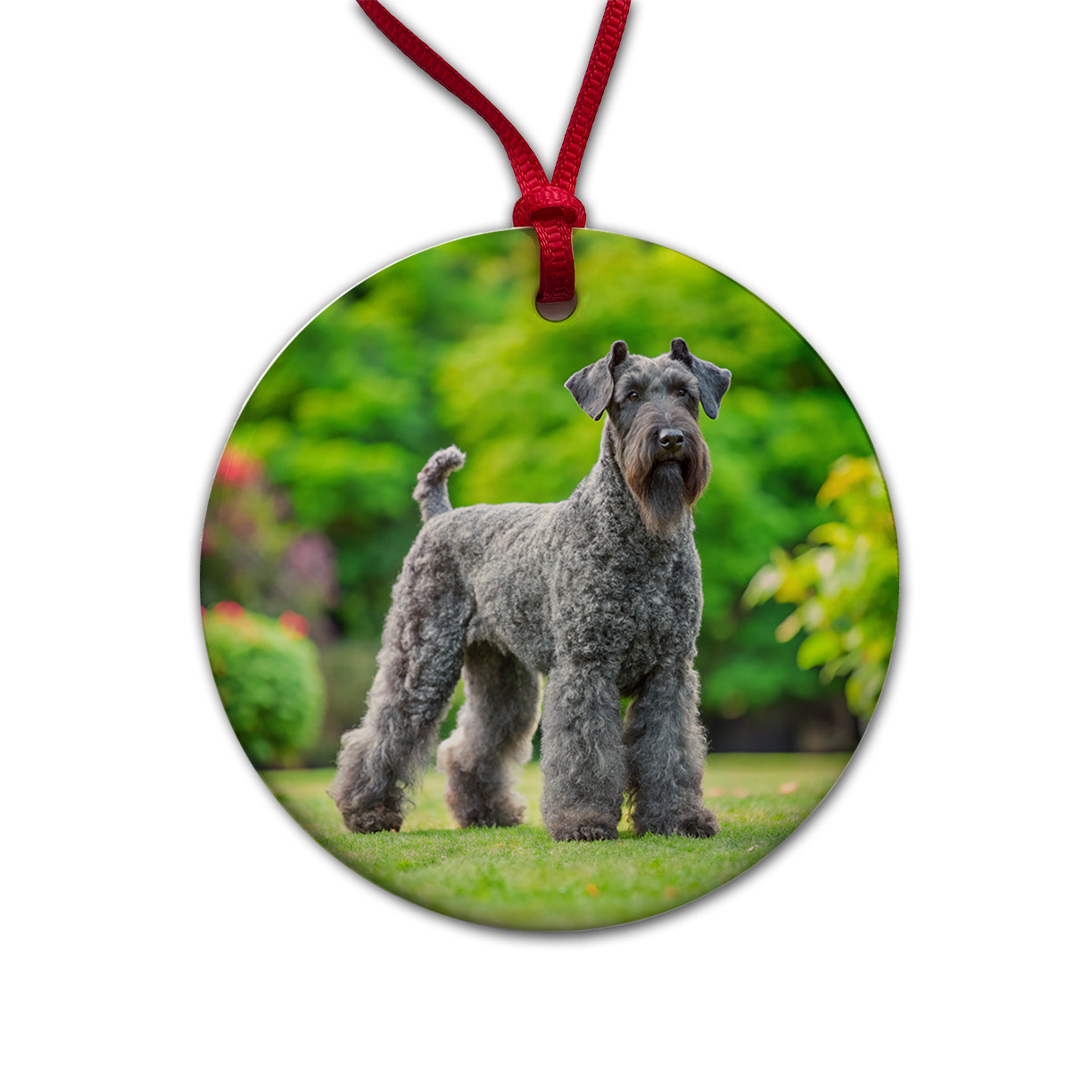 Kerry Blue Terrier Dog Photo Round Ceramic Holiday Christmas Tree Ornament