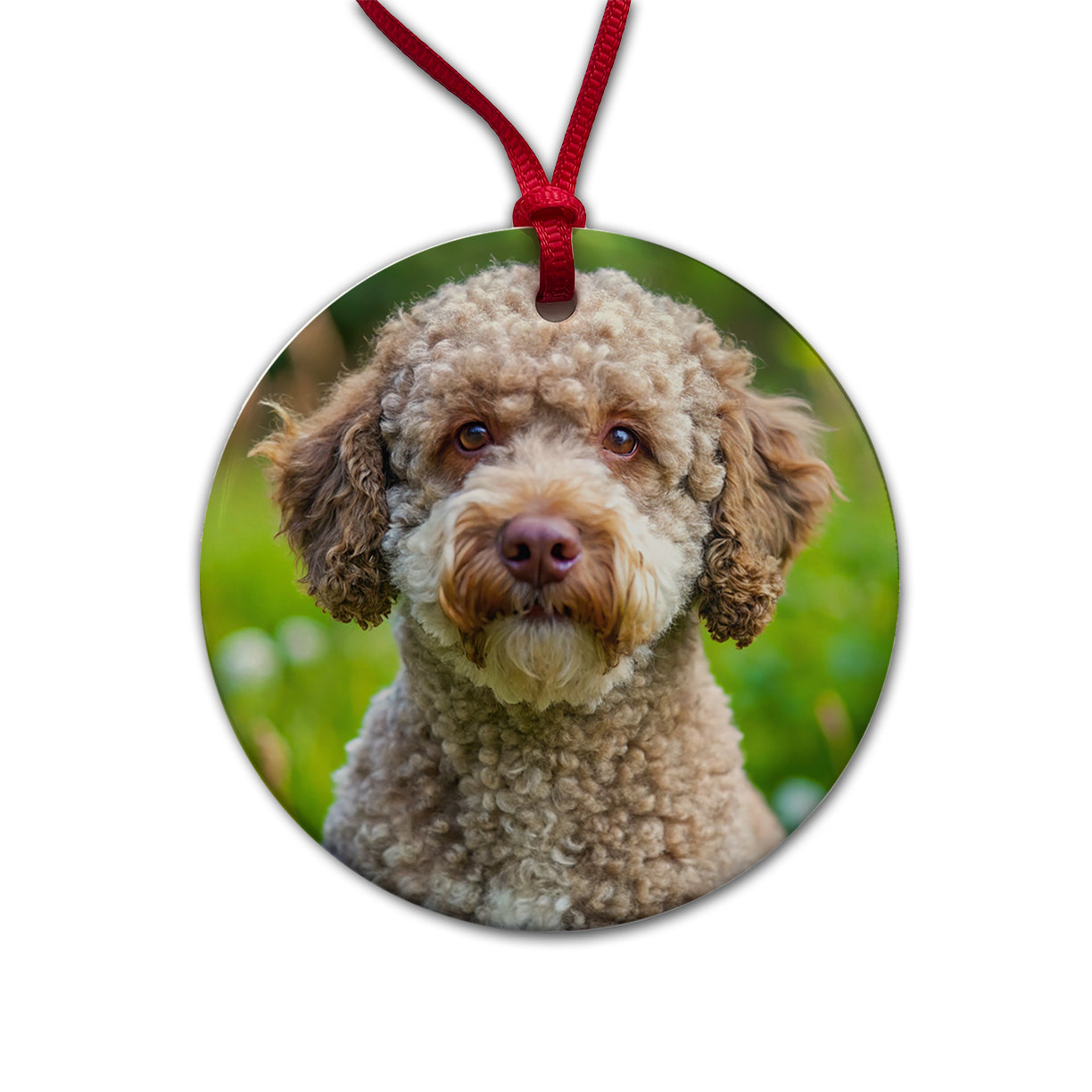 Lagotto Romagnolo Dog Photo Round Ceramic Holiday Christmas Tree Ornament