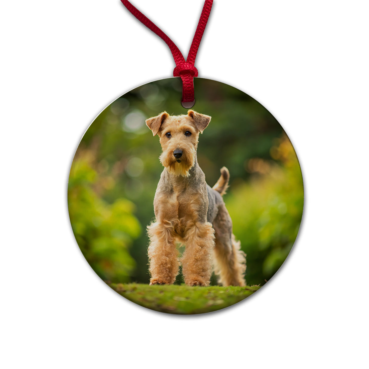 Lakeland Terrier Dog Photo Round Ceramic Holiday Christmas Tree Ornament