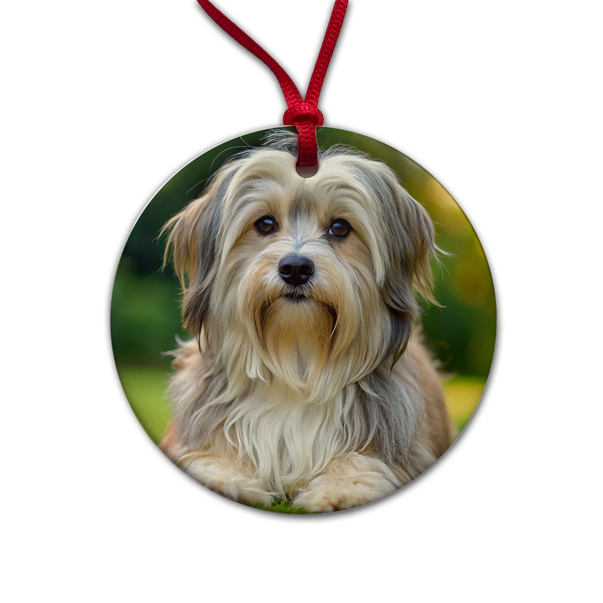 Lowchen Little Lion Dog Photo Round Ceramic Holiday Christmas Tree Ornament