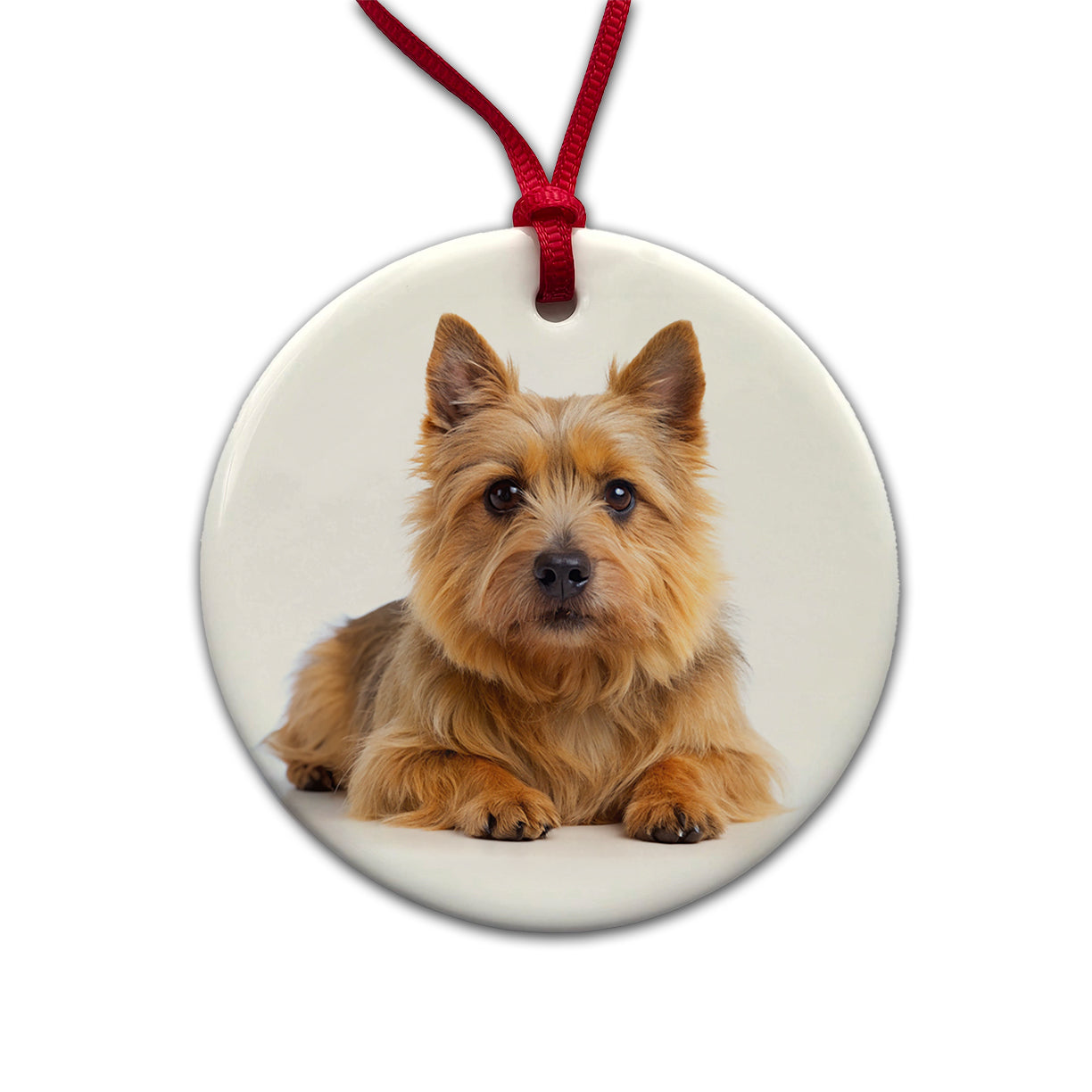Norwich Terrier Dog Photo Round Ceramic Holiday Christmas Tree Ornament
