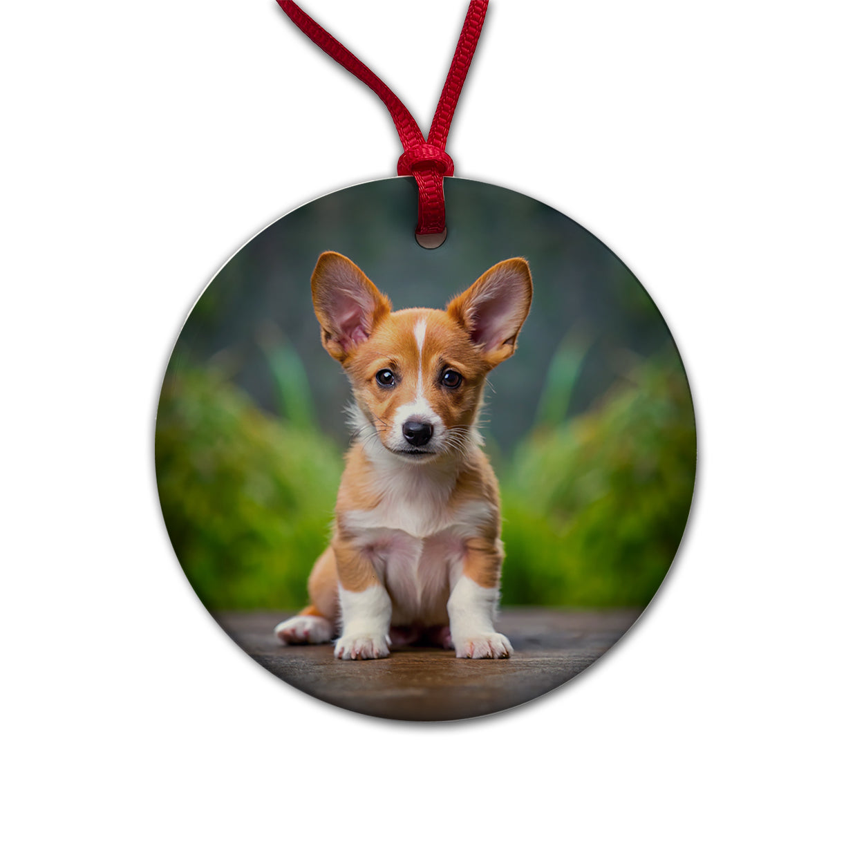 Portuguese Podengo Pequeno Dog Puppy Photo Round Ceramic Holiday Christmas Tree Ornament