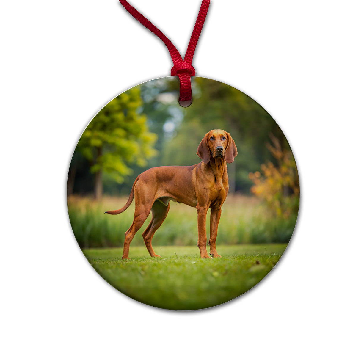 Redbone Coonhound Dog Photo Round Ceramic Holiday Christmas Tree Ornament