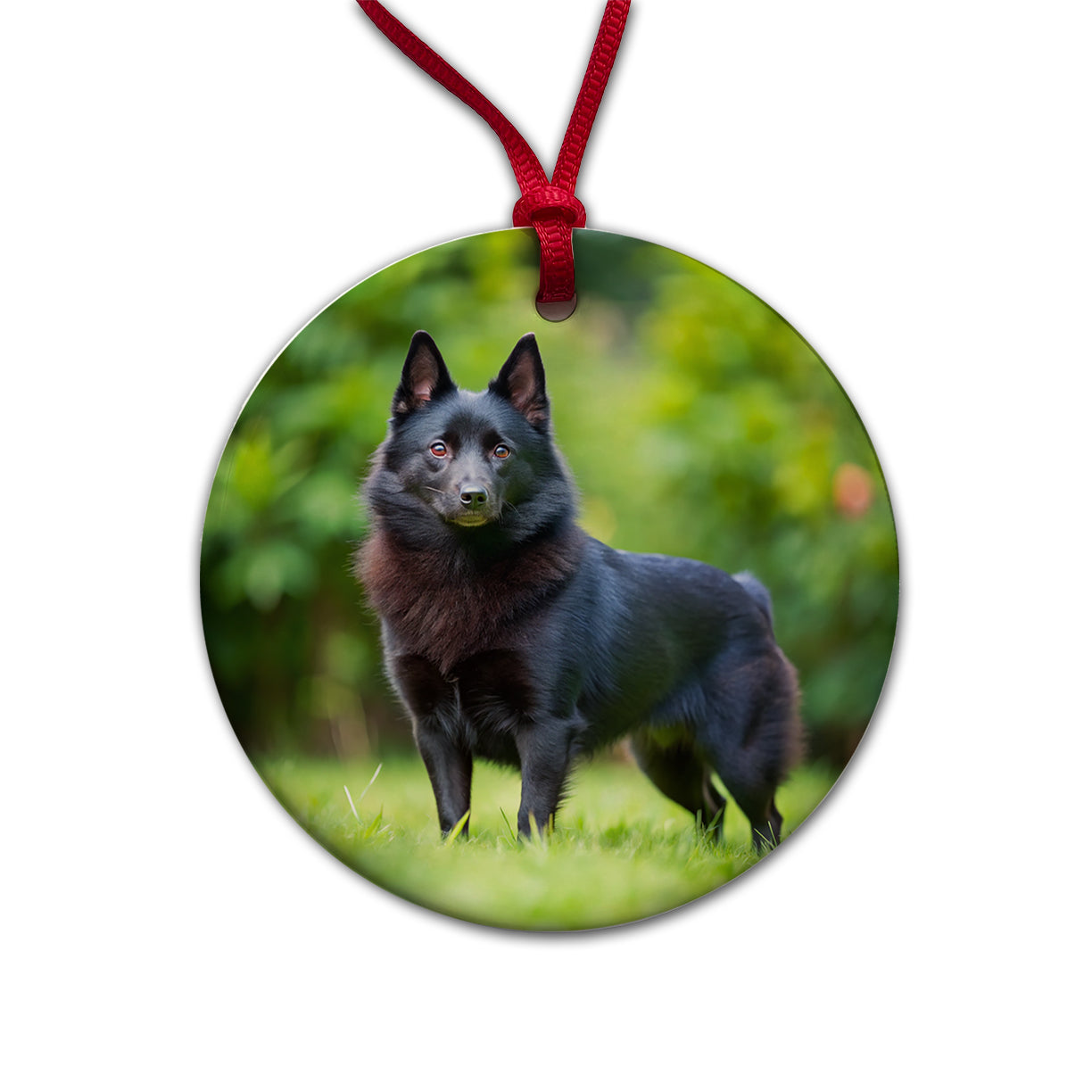 Schipperke Dog Photo Round Ceramic Holiday Christmas Tree Ornament