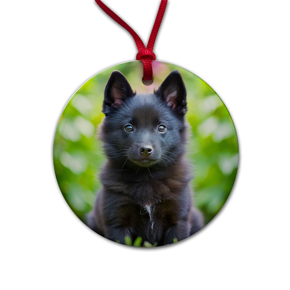 Schipperke Dog Puppy Photo Round Ceramic Holiday Christmas Tree Ornament