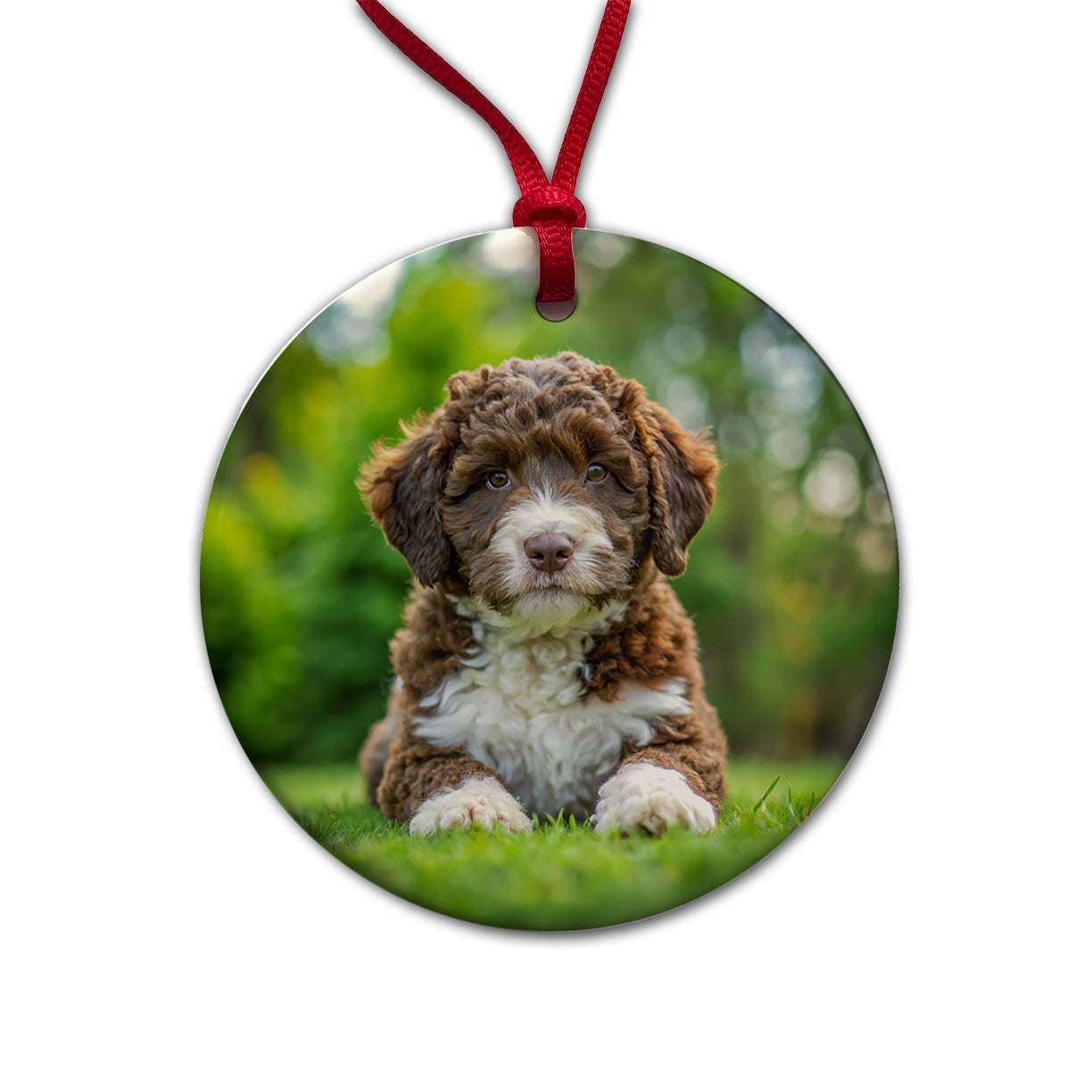 Spanish Water Dog Puppy Photo Round Ceramic Holiday Christmas Tree Ornament