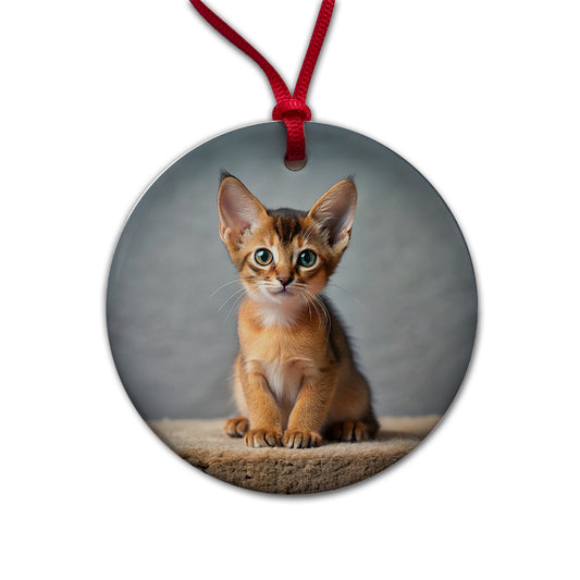 Abyssinian Cat Kitten Photo Round Ceramic Holiday Christmas Tree Ornament