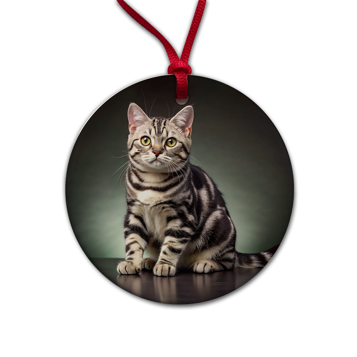 American Shorthair Cat Photo Round Ceramic Holiday Christmas Tree Ornament