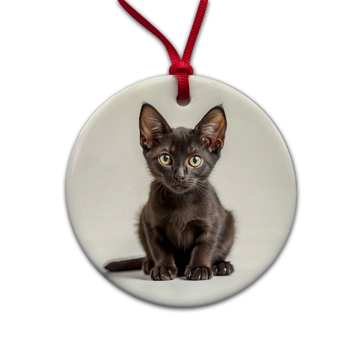 Bombay Black Cat Kitten Photo Round Ceramic Holiday Christmas Tree Ornament