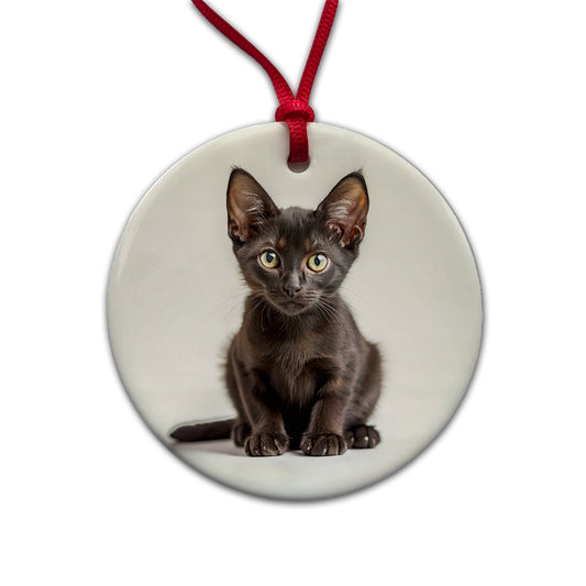 Bombay Black Cat Kitten Photo Round Ceramic Holiday Christmas Tree Ornament