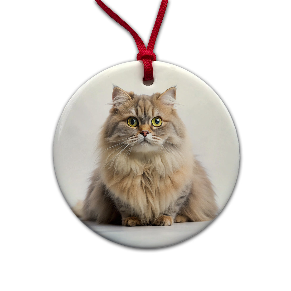 British Longhair Cat Photo Round Ceramic Holiday Christmas Tree Ornament