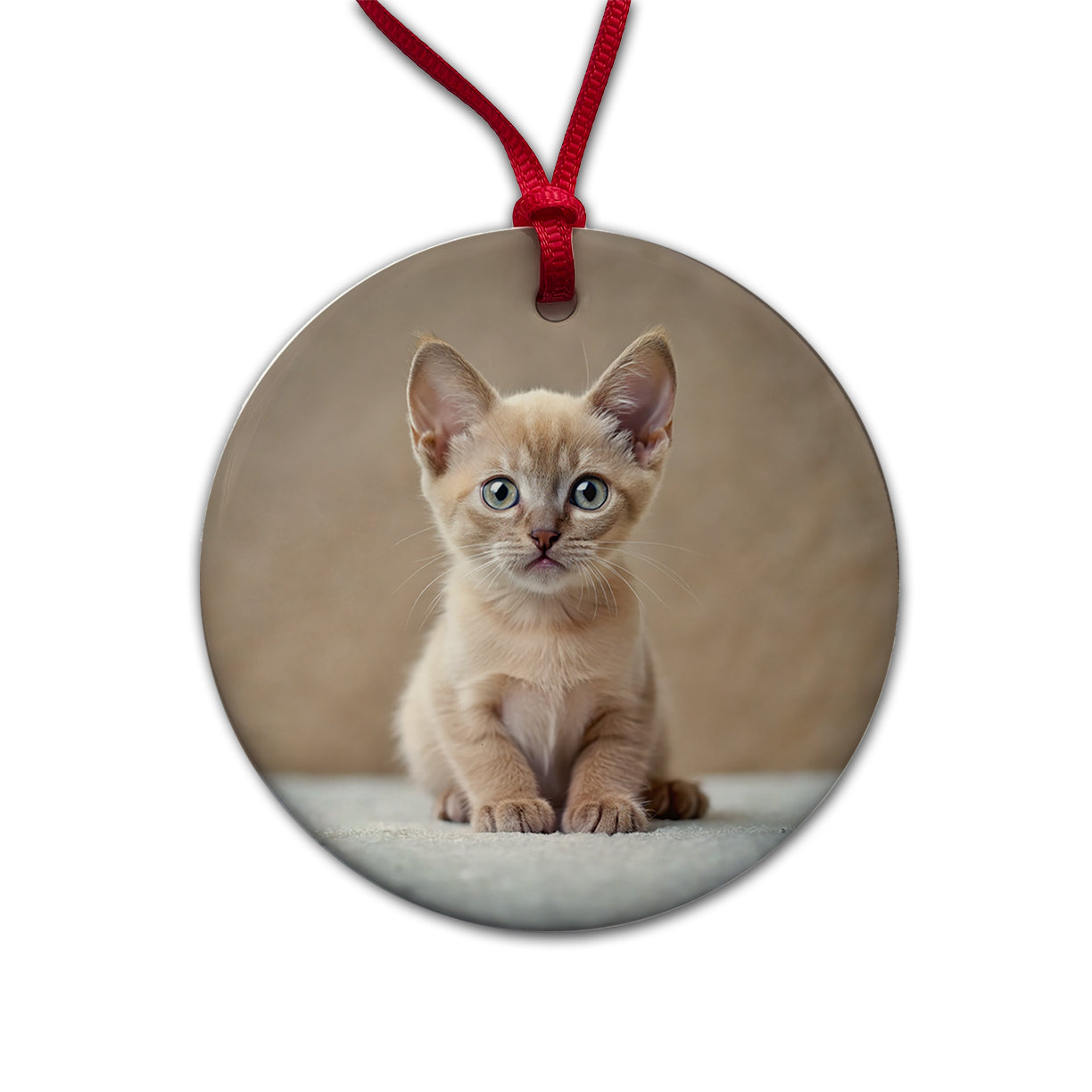 Burmese Cat Kitten Photo Round Ceramic Holiday Christmas Tree Ornament