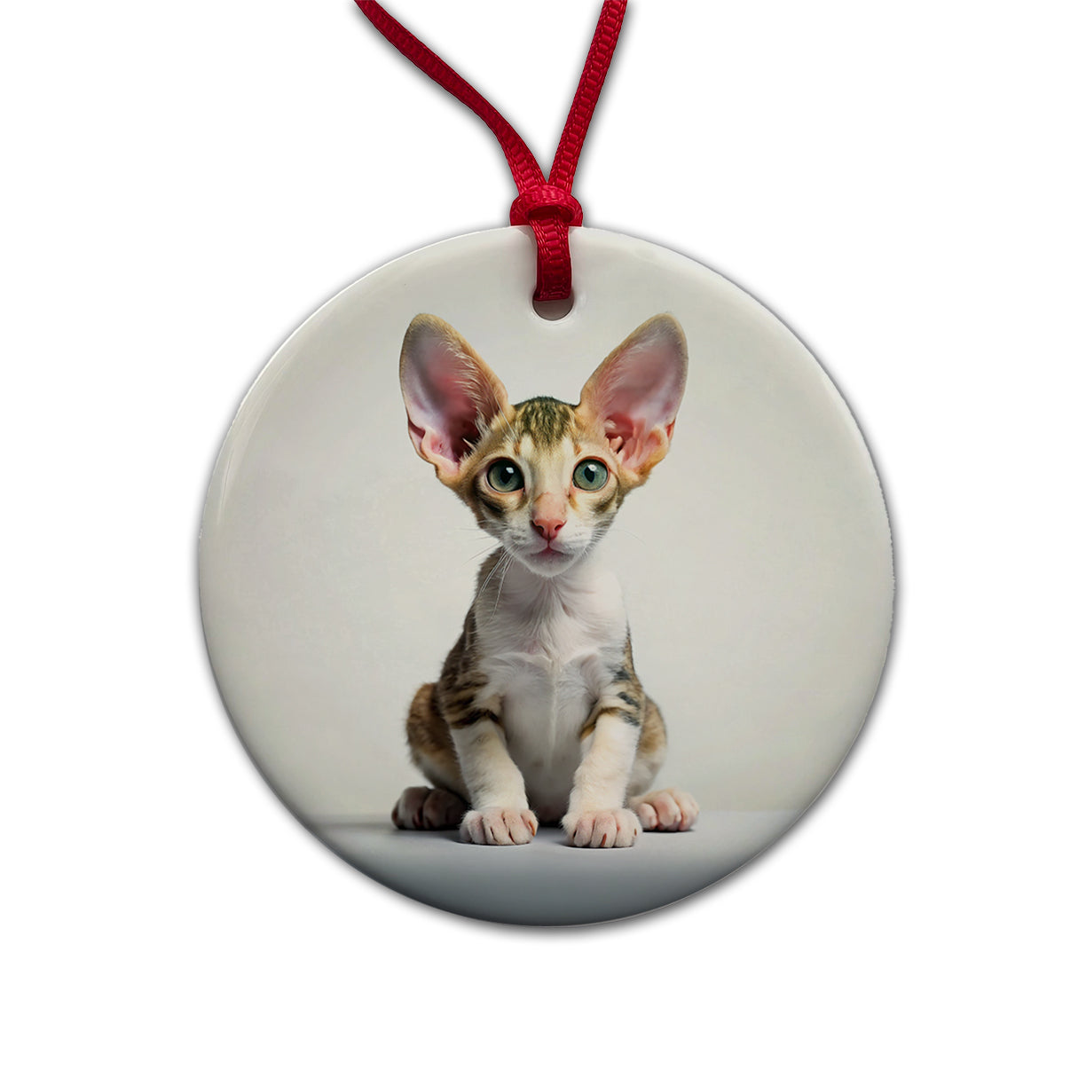 Cornish Rex Cat Kitten Photo Round Ceramic Holiday Christmas Tree Ornament