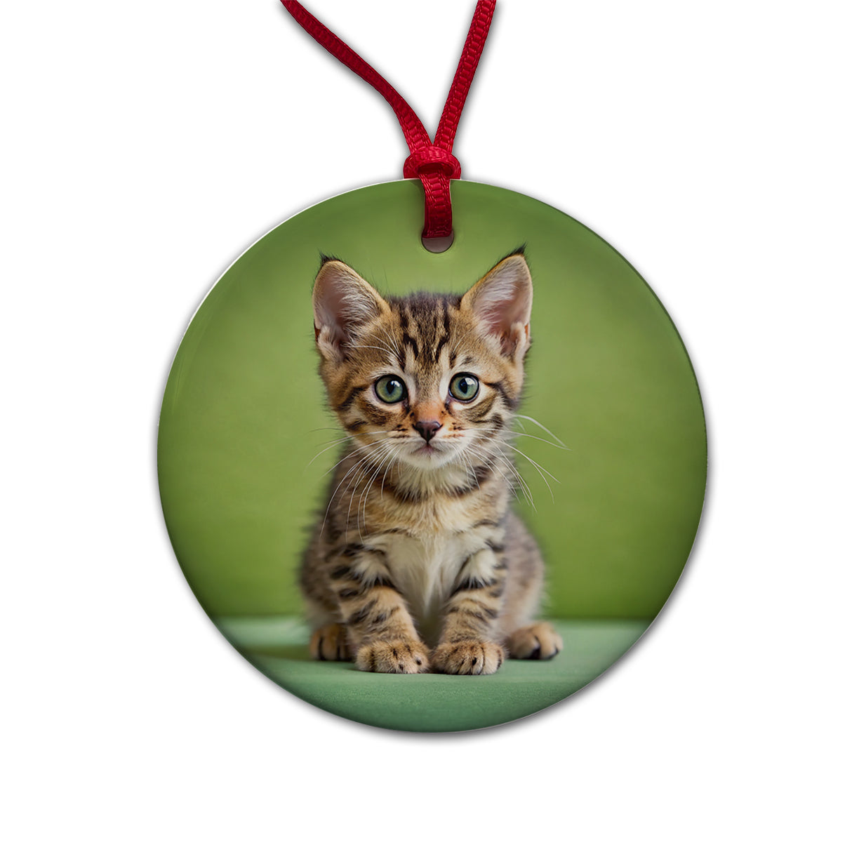 European Shorthair Cat Kitten Photo Round Ceramic Holiday Christmas Tree Ornament