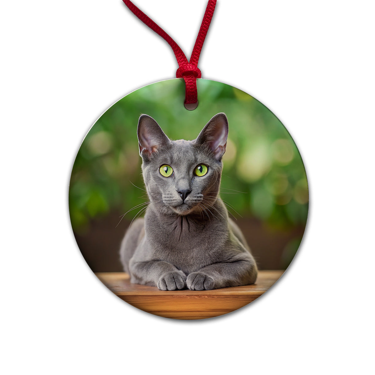 Korat Cat Photo Round Ceramic Holiday Christmas Tree Ornament